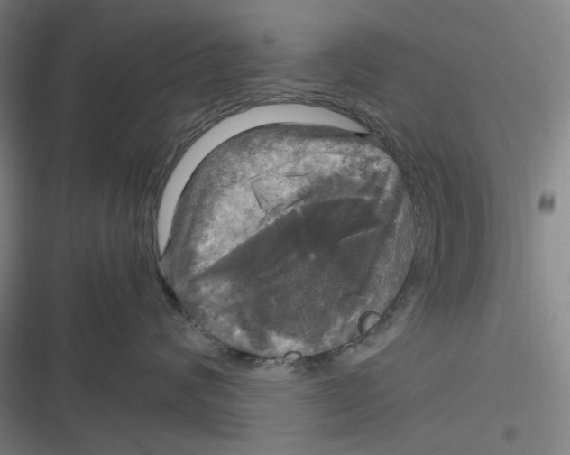 X0000116800624201001081336