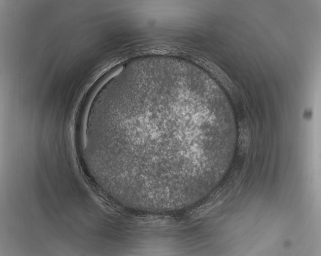 X0000116800626201001081335