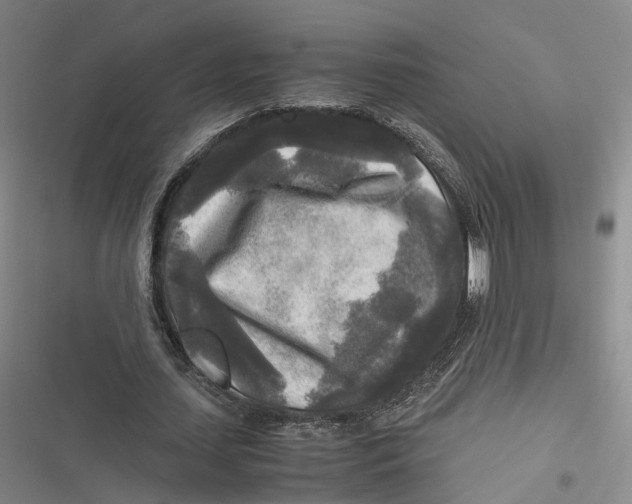 X0000116800627201001081335