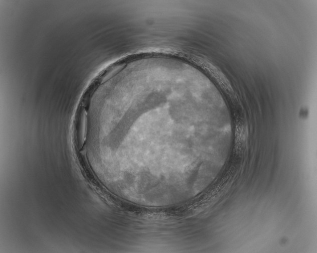 X0000116800628201001081335