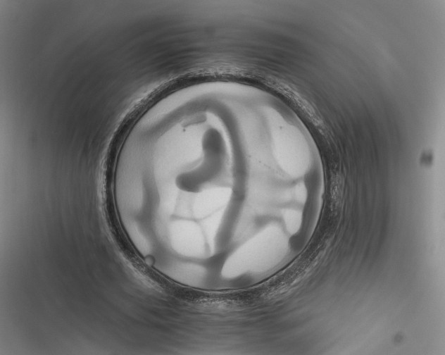 X0000116800629201001081335