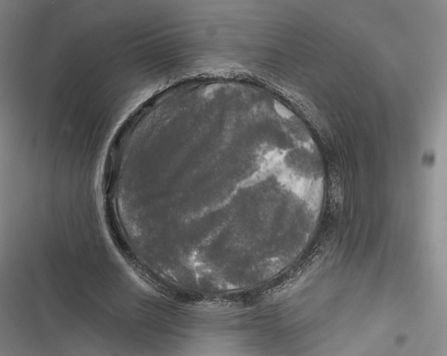 X0000116800630201001081335