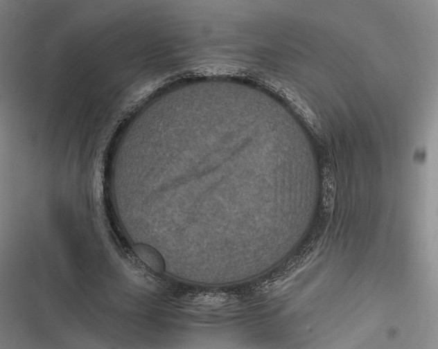 X0000116800631201001081335