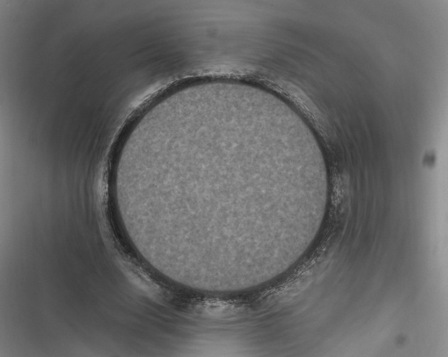 X0000116800632201001081335