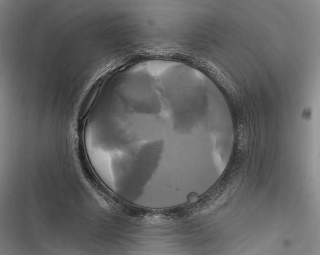X0000116800634201001081335