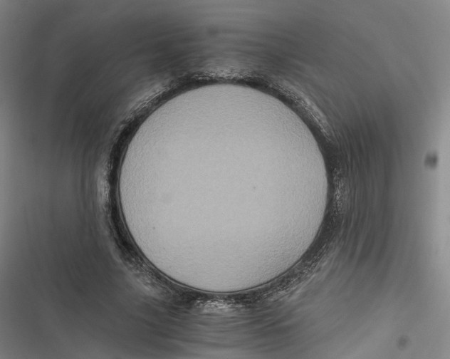 X0000116800635201001081335
