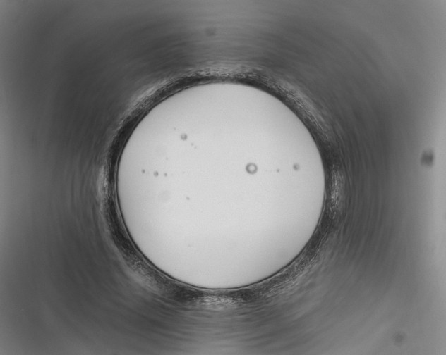 X0000116800636201001081335