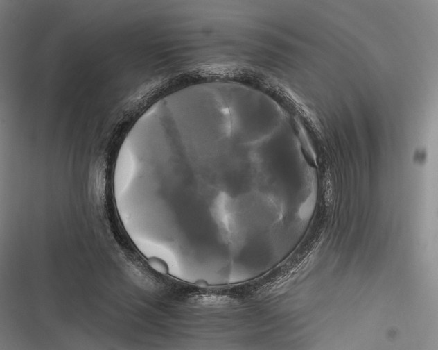 X0000116800637201001081335