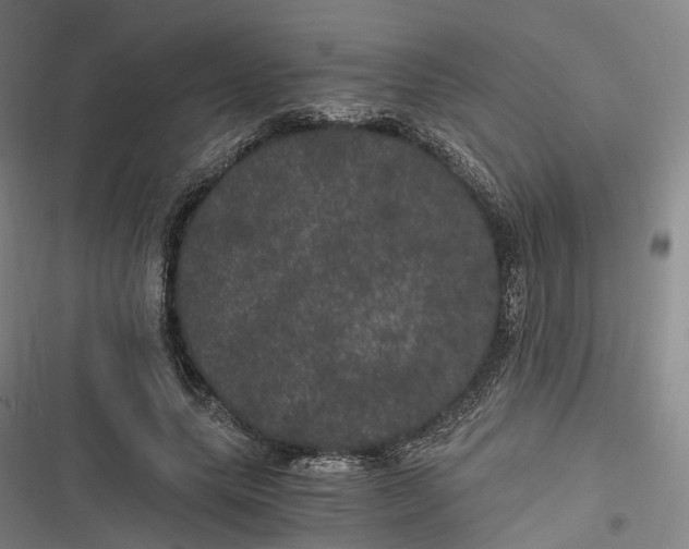X0000116800639201001081335