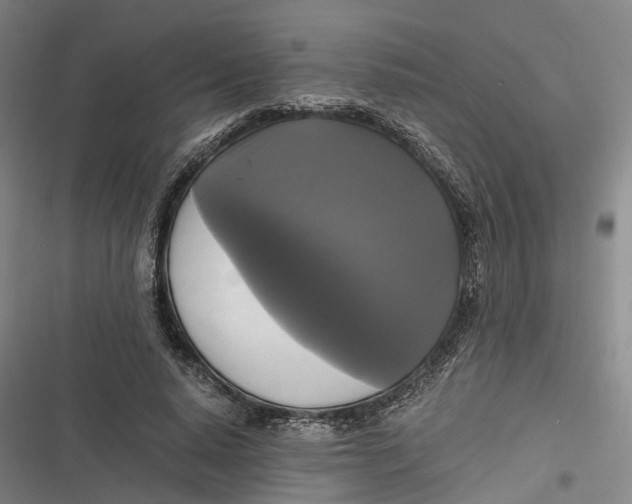 X0000116800640201001081335