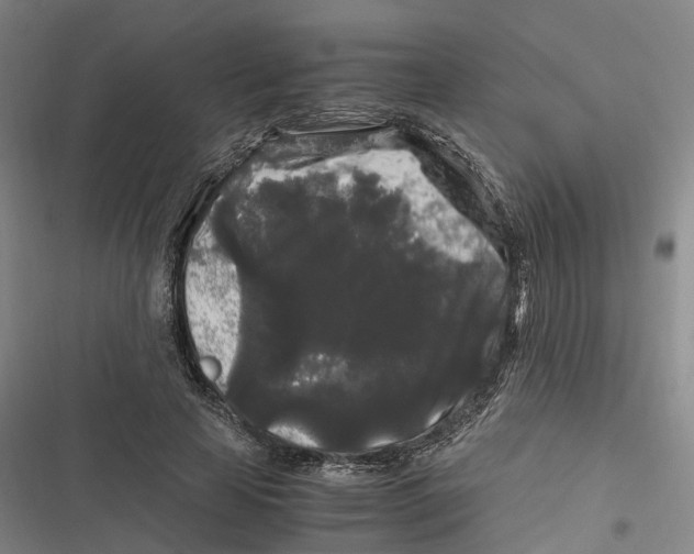 X0000116800641201001081335