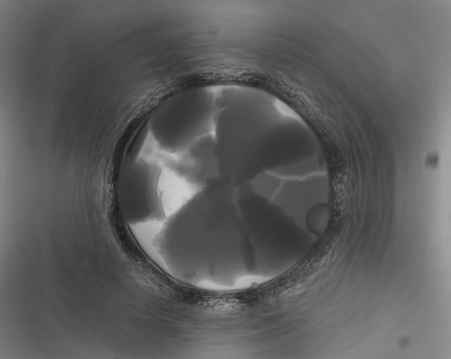 X0000116800642201001081335