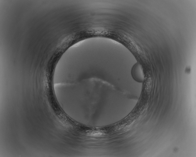 X0000116800643201001081335