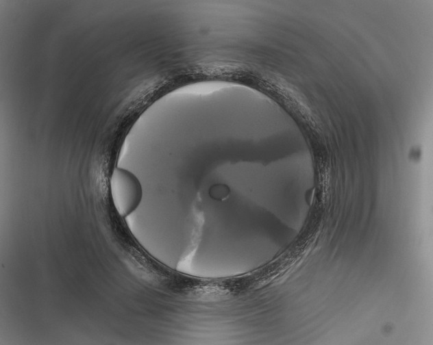 X0000116800644201001081335