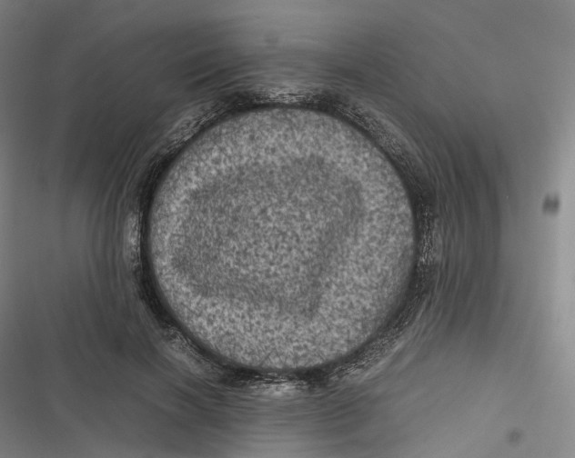 X0000116800646201001081335