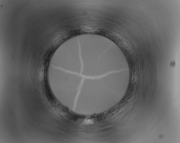 X0000116800647201001081335
