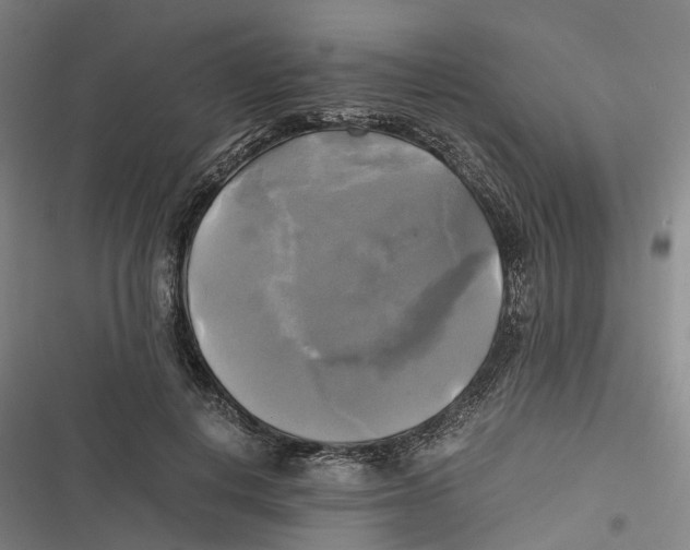 X0000116800648201001081335