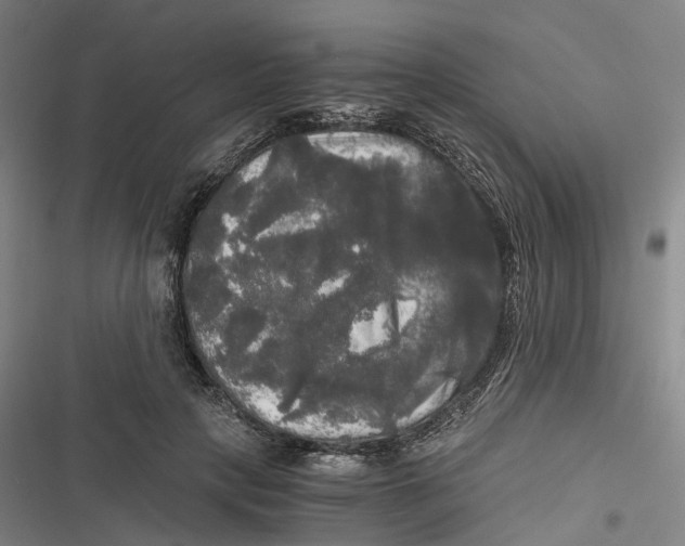 X0000116800649201001081335