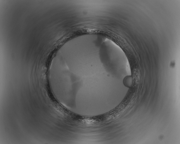 X0000116800650201001081335