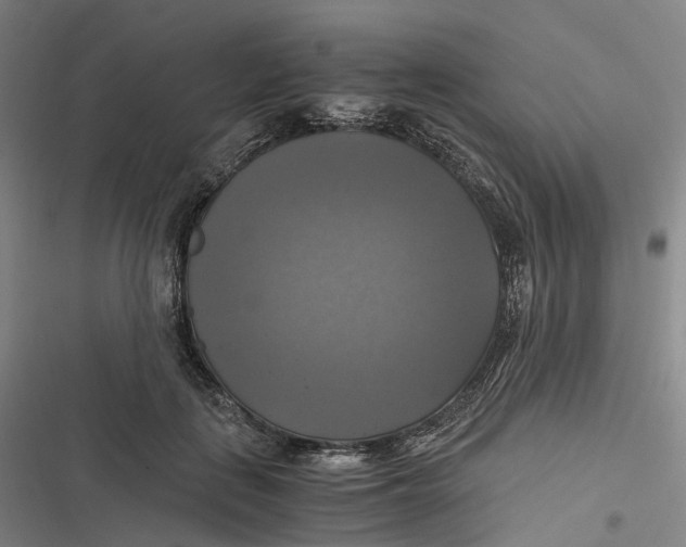X0000116800651201001081335