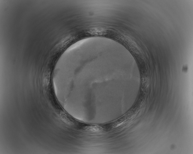 X0000116800652201001081335