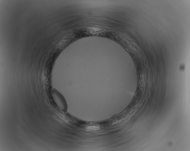 X0000116800653201001081335