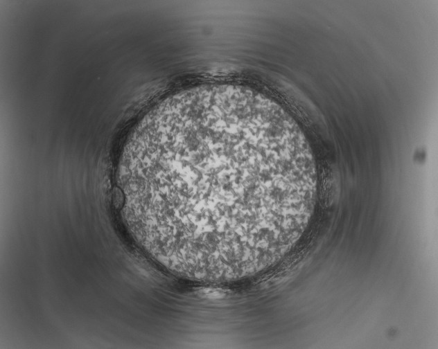 X0000116800654201001081335
