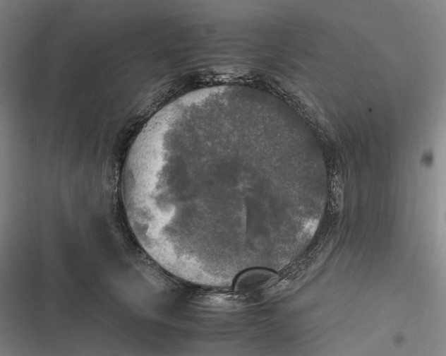 X0000116800657201001081335