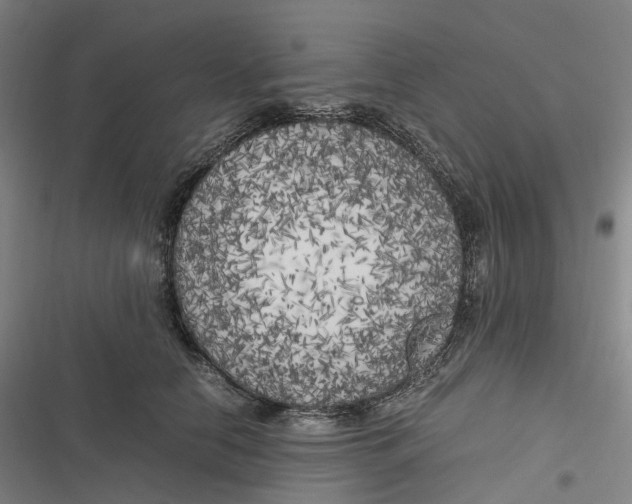 X0000116800658201001081335