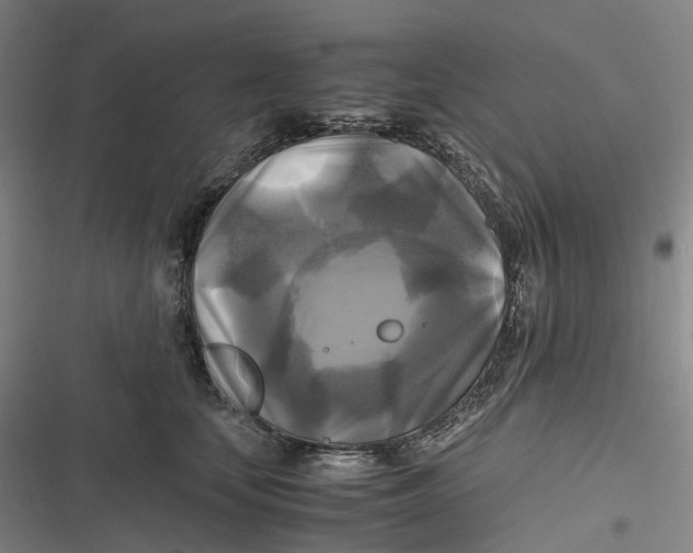 X0000116800659201001081335