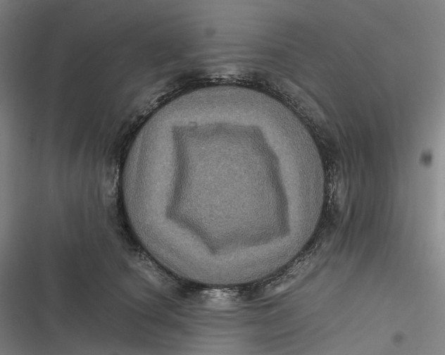X0000116800660201001081335