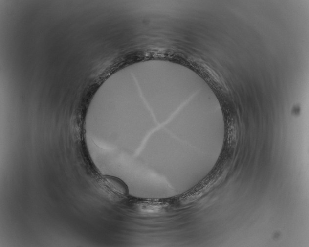 X0000116800661201001081335