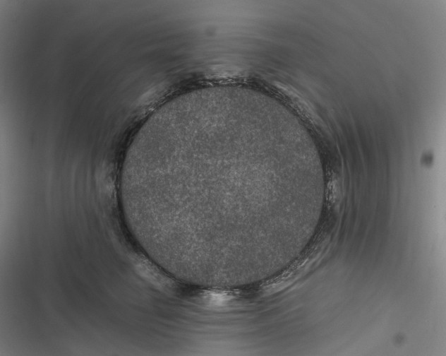 X0000116800662201001081335