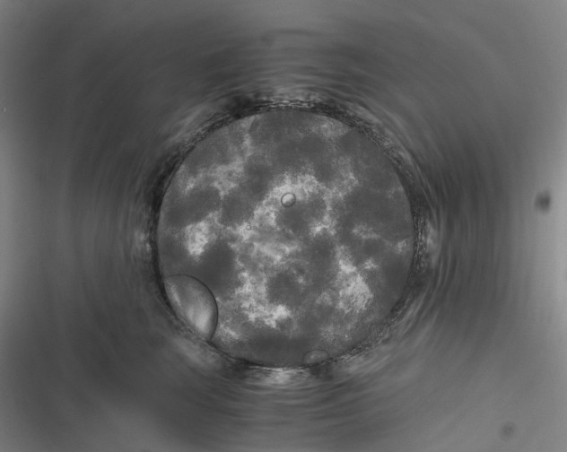 X0000116800663201001081335