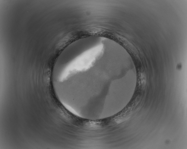 X0000116800664201001081335