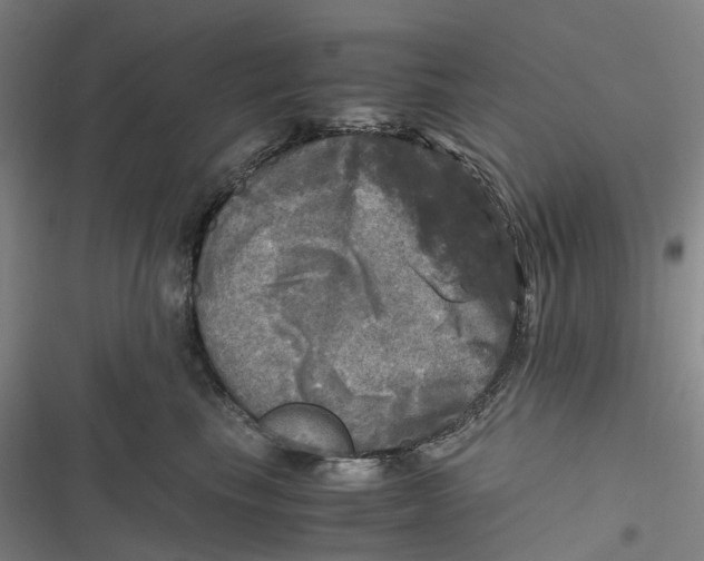 X0000116800665201001081335
