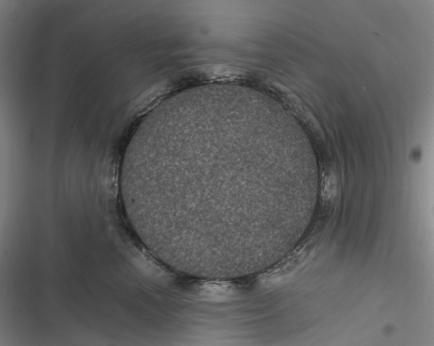 X0000116800666201001081335