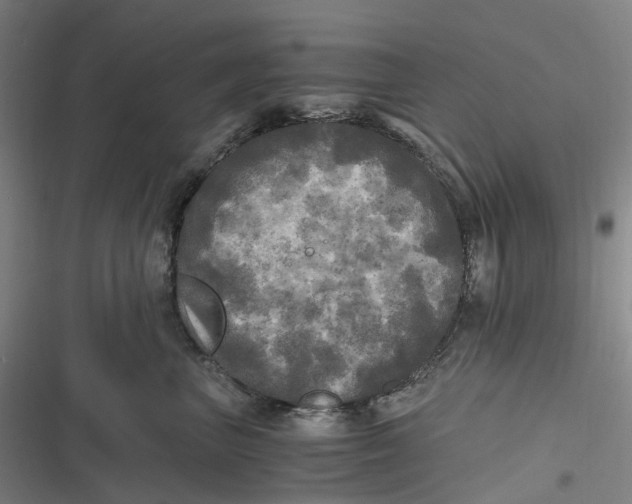 X0000116800667201001081335