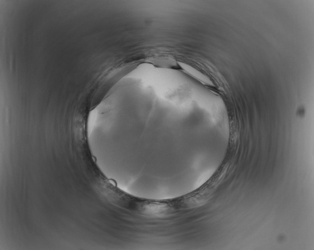 X0000116800669201001081335