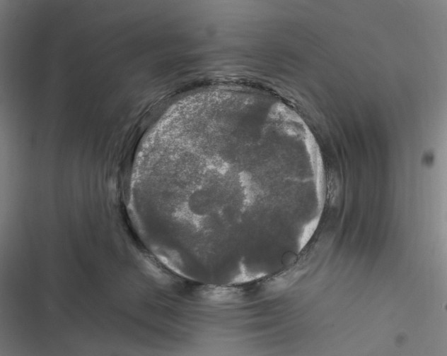 X0000116800670201001081335