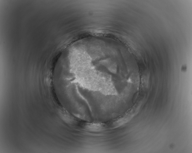 X0000116800671201001081335