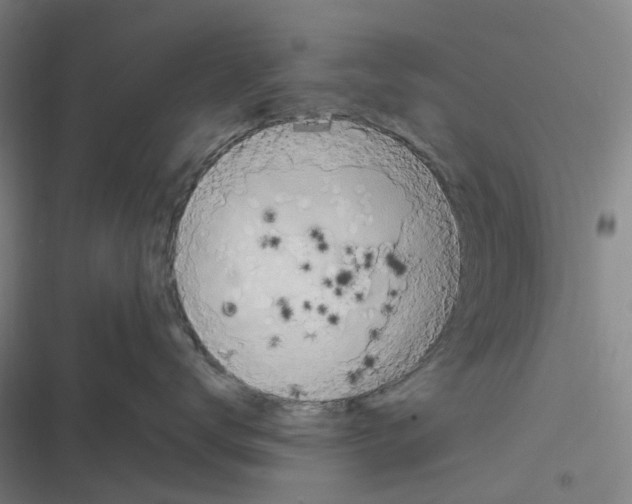 X0000116800672201001081336