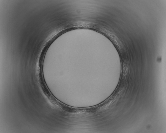 X0000116800674201001081335