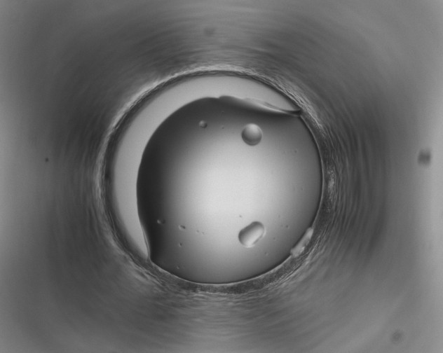 X0000116800676201001081335