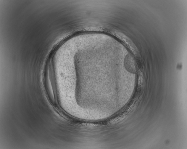 X0000116800677201001081335