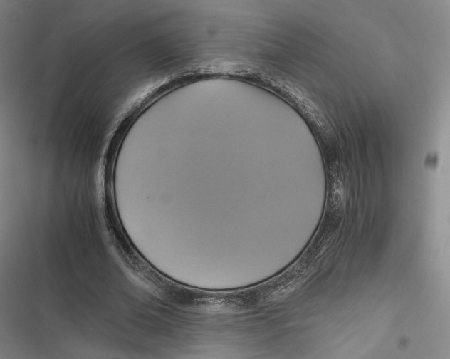 X0000116800678201001081335