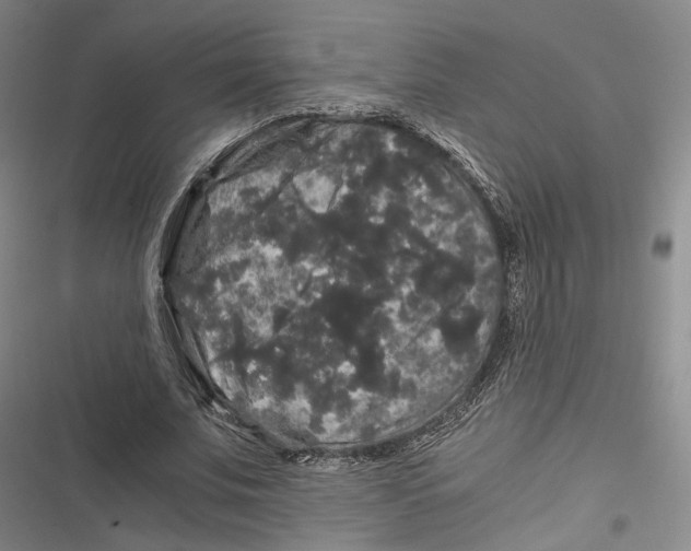 X0000116800679201001081335