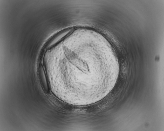 X0000116800680201001081335
