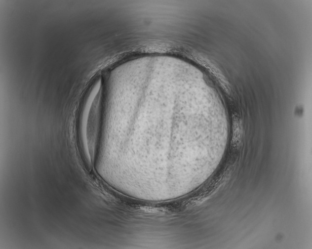 X0000116800681201001081335