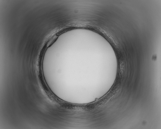 X0000116800682201001081335